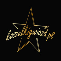 Logo firmy koszulkigwiazd.pl