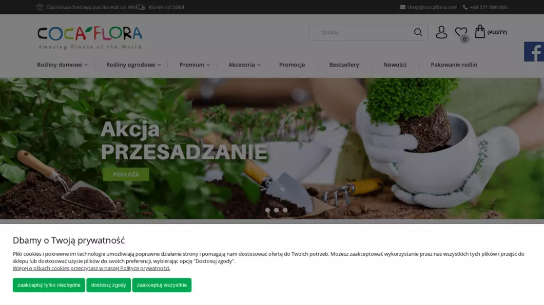 Zrzut ekranu strony firmy Sklep z roślinami CocaFlora